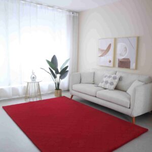 NOVA SHAGGY Rug 5x8